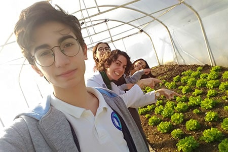 greenhouse_1_fi