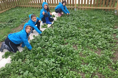 permaculture_1_fi