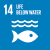 SDG_14