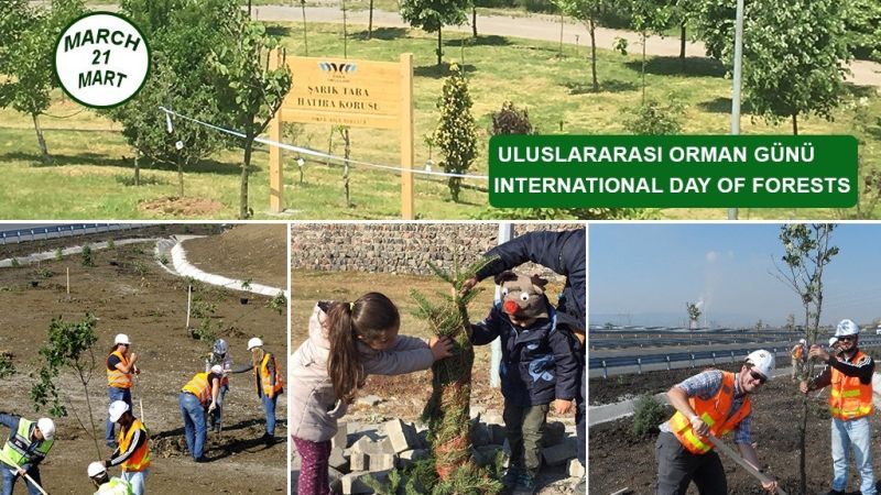 21 Mart Orman Günü