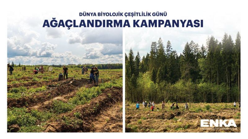 Кампания по посадке деревьев в Международный день биологического разнообразия