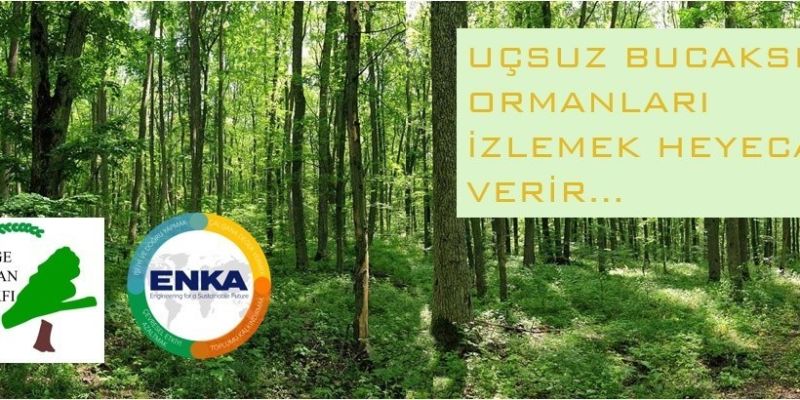 ENKA INSAAT AFFORESTATION PROJECT