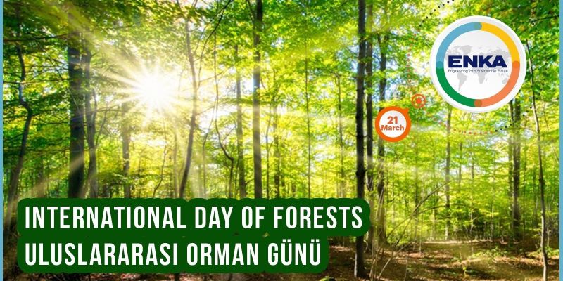 International Day of Forests