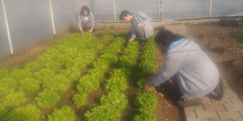 Kocaeli ENKA Schools Greenhouse