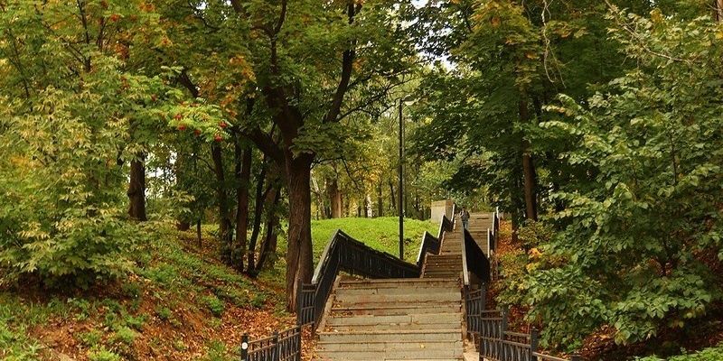 Проект лесовосстановления в рамках экологических исследований ЭНКА