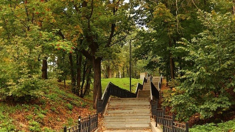 Проект лесовосстановления в рамках экологических исследований ЭНКА