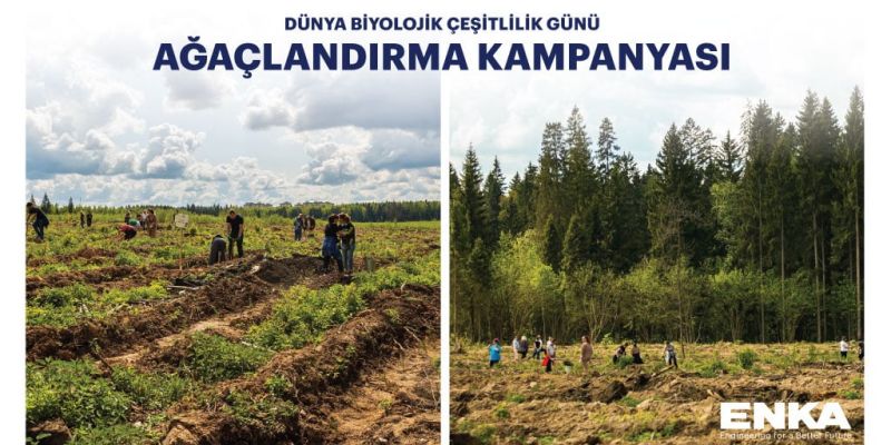 Dünya Biyolojik Çeşitlilik Günü’nde Ağaçlandırma Kampanyası