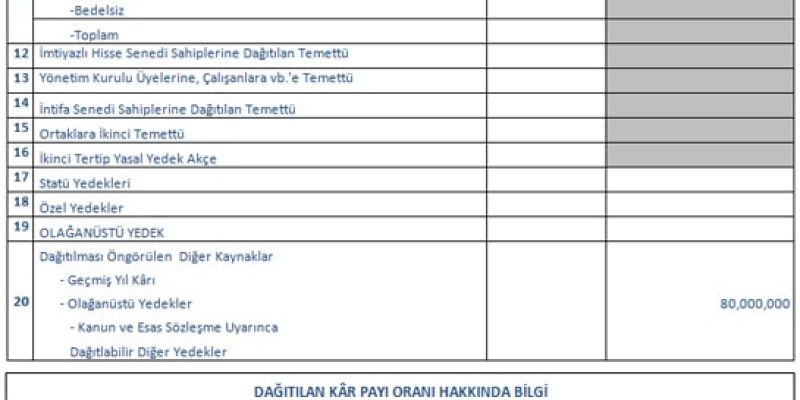 ozeldurum2012_tablo_6