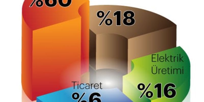 businessline_percentage_tr_2020_1