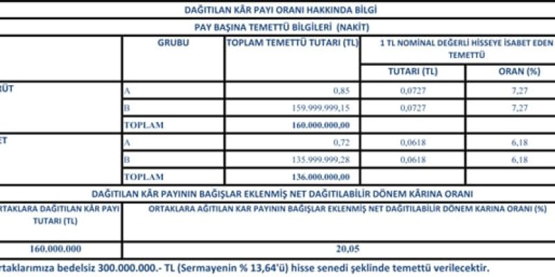ozeldurum2011_tablo_1