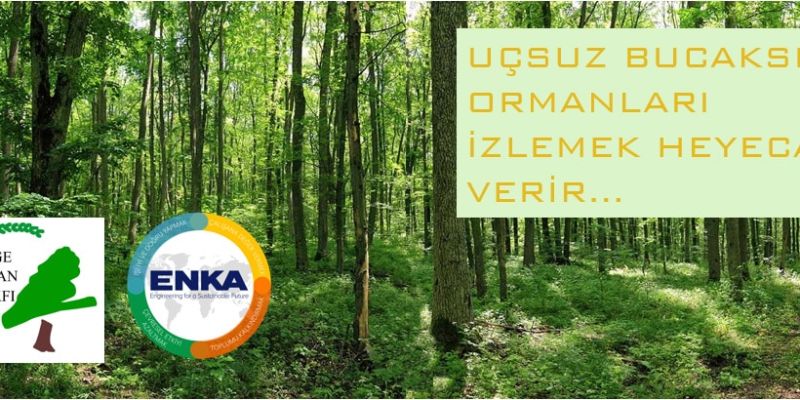 ENKA INSAAT AFFORESTATION PROJECT