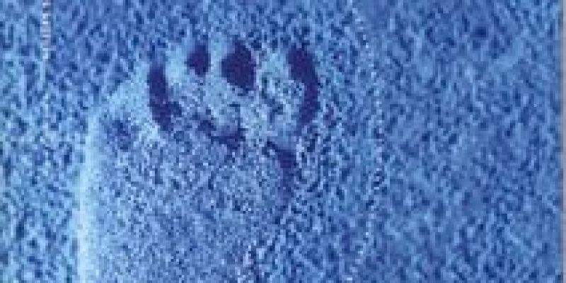 KASKTAS_25._Yil_Katalogu_Cover